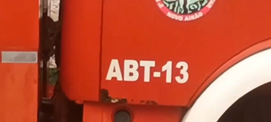 Onça-pintada surpreende moradores em Novo Airão e acaba morrendo após resgate